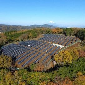 NaturesCoin is set to be one of the first digital economies with a real purpose NaturesCoin is set to be one of the first digital economies with a real purpose